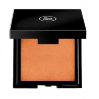 Tropic sun powder 602 Bronzer Polvos 